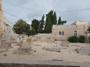 The Dajani Cemetery is now clean